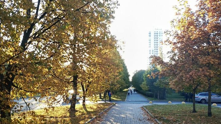 Осеннее утро