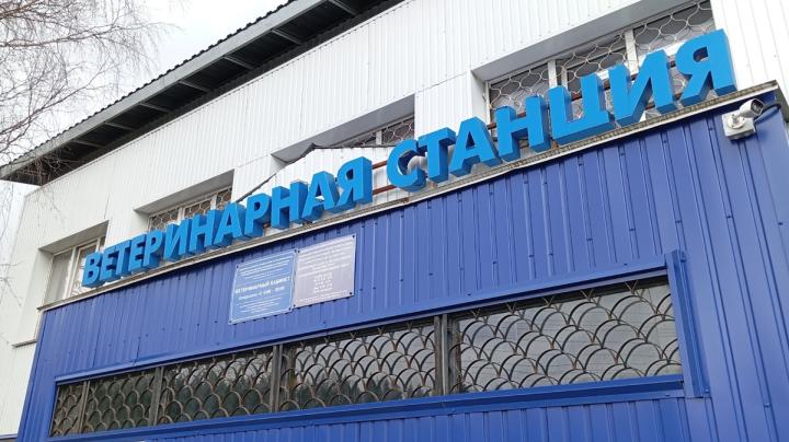 ветстанция