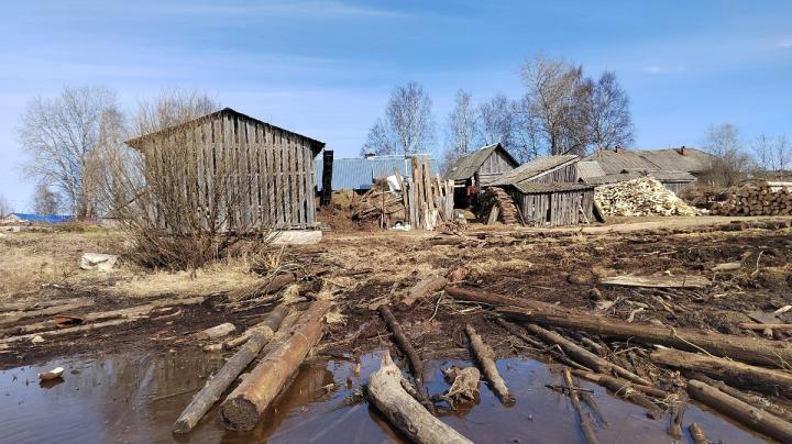 Река Водла Бочилово