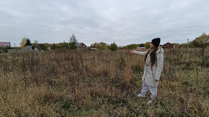 Участок в Пряже