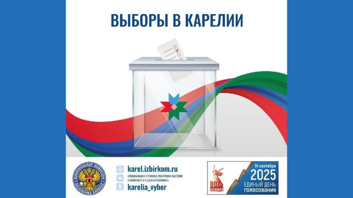 информация о днях выборов