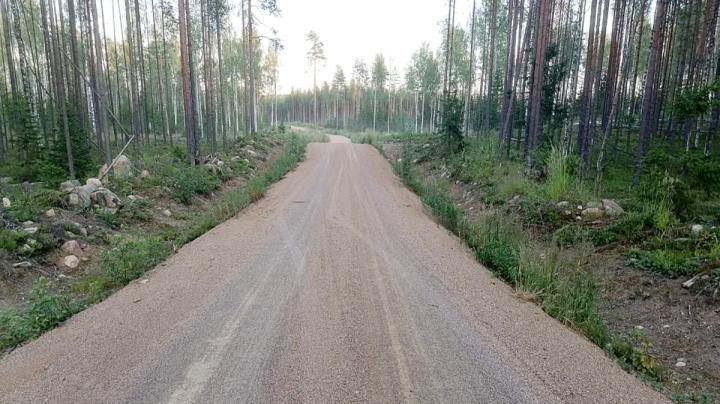 Лесная дорога с грунтовым покрытием