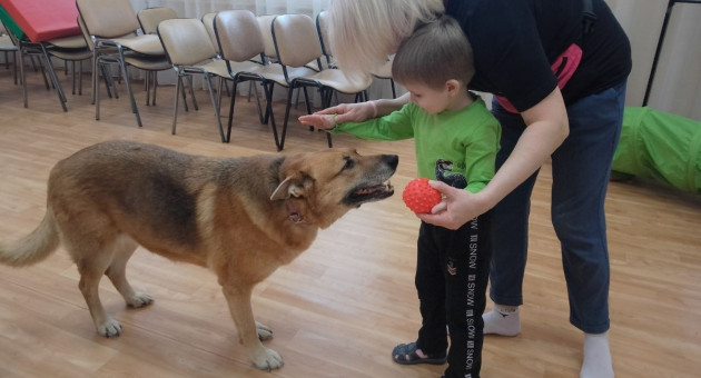 занятие по канистерапии