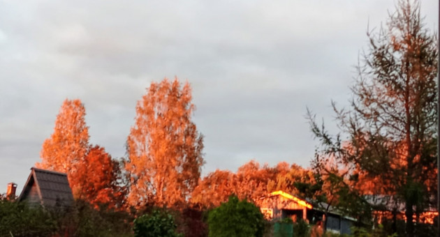 Золотая осень в Петрозаводске