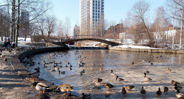 Весна в Карелии 