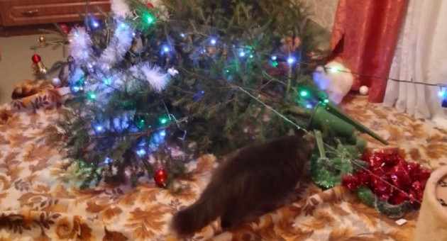 упавшая новогодняя елка