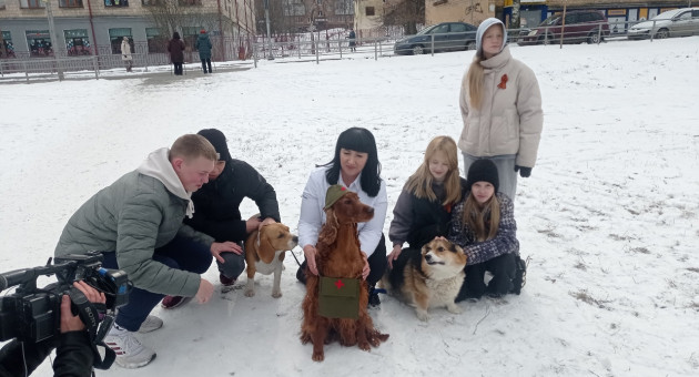 Матрица Победы, собаки герои войны