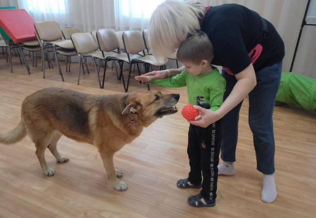занятие по канистерапии