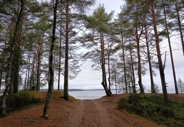 Берег озера в селе Шелтозеро
