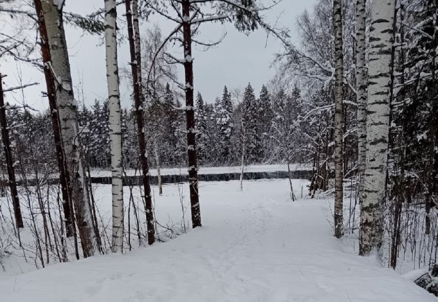 Берег реки Шуи в Салменице