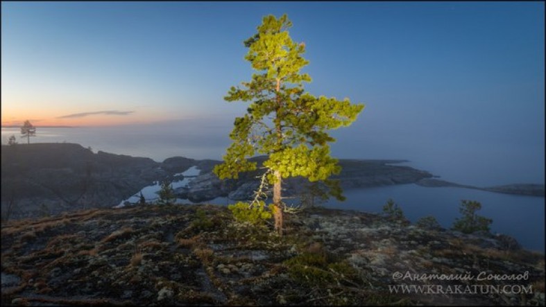 Белые ночи в карелии фото