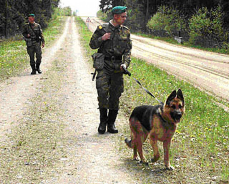 Погранцы с собакой. Пограничники на заставе. Балтийская коса нормельн погранзастава. Охрана границы. Пограничник с собакой.
