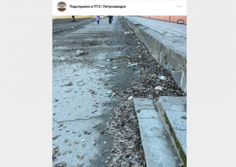 листья грязь