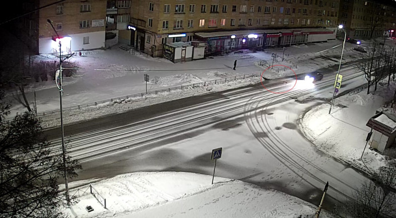 наезд на собаку