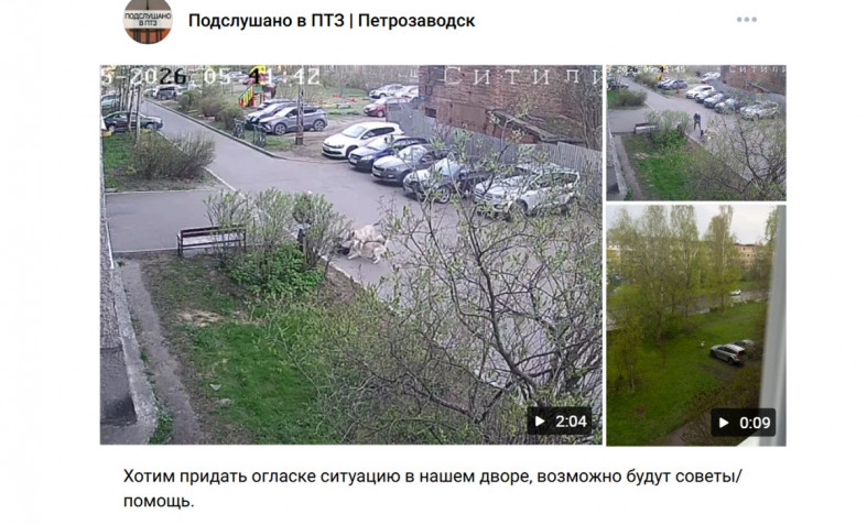 нападение собак