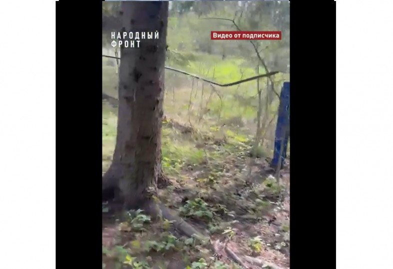 забор