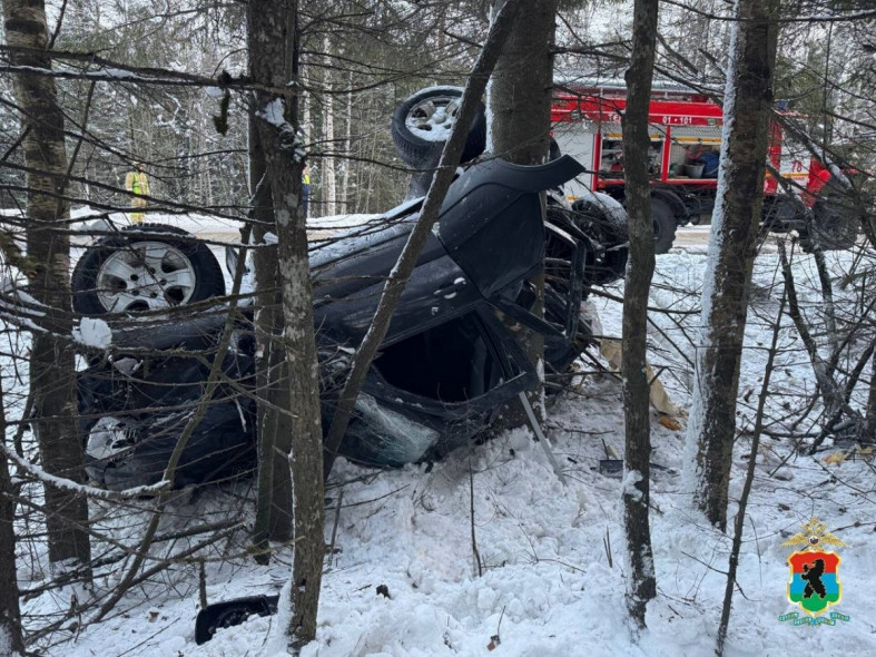 место смертельного ДТП