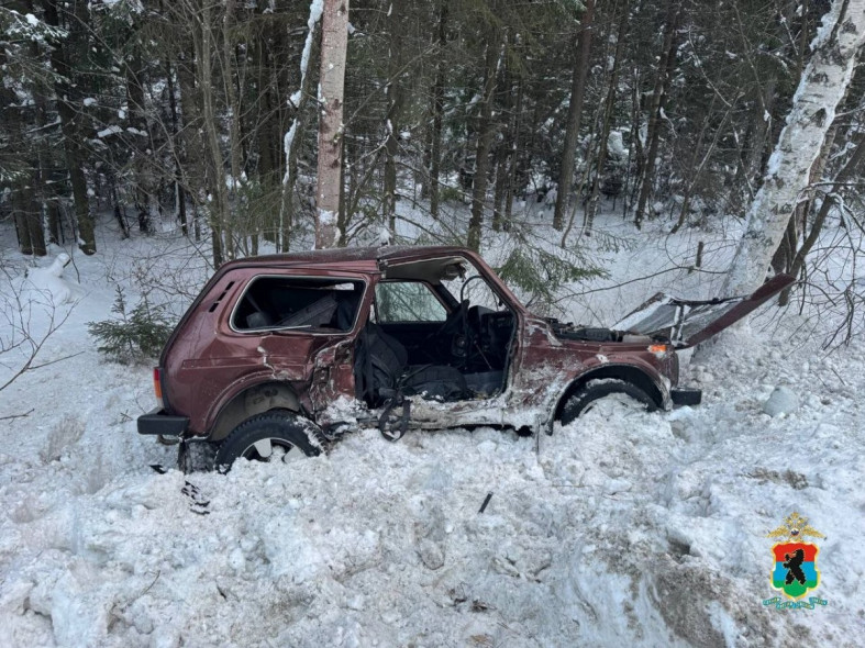 место смертельного ДТП 2026