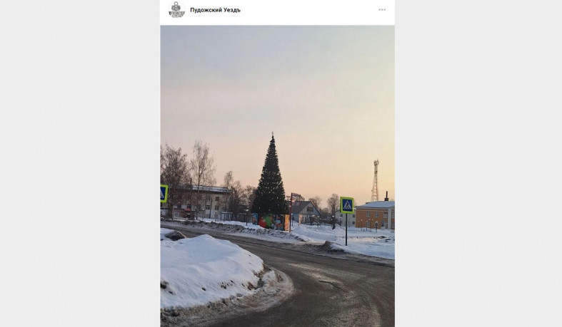 дерево на площади