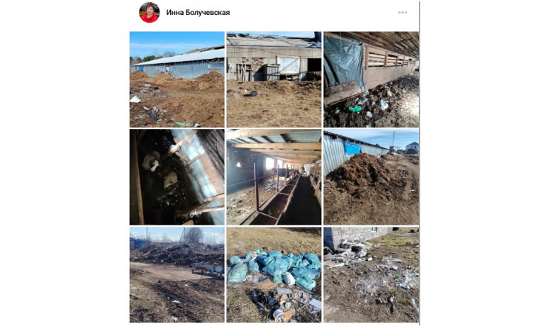 ферма весной