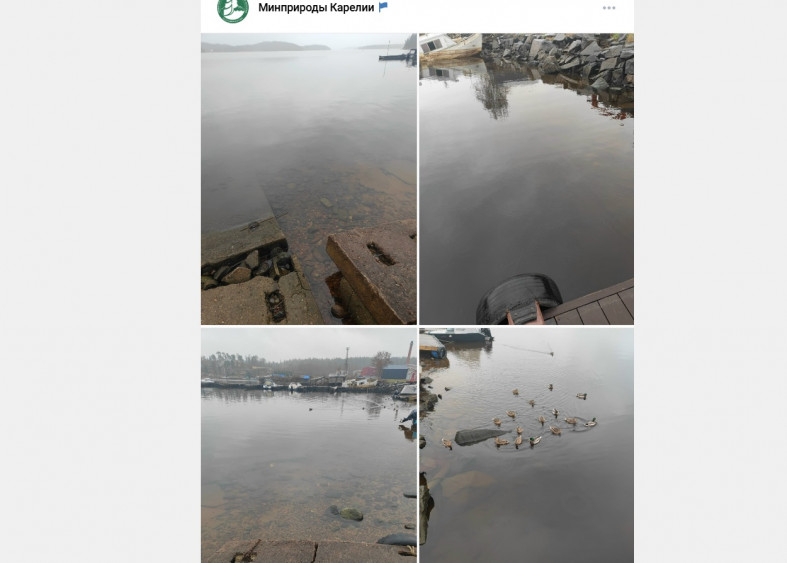 нефтепродукты