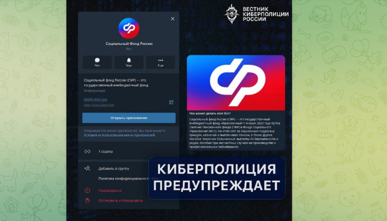 мошенники в сети