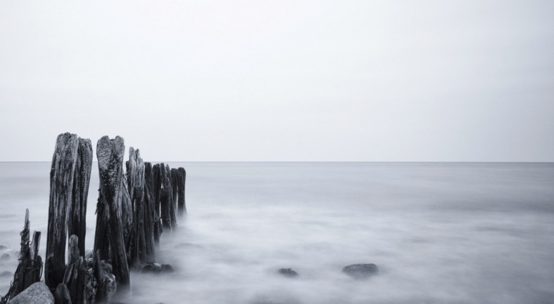 Берег северного моря