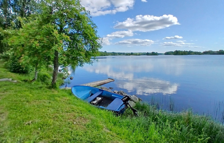 Лето на Святозере.