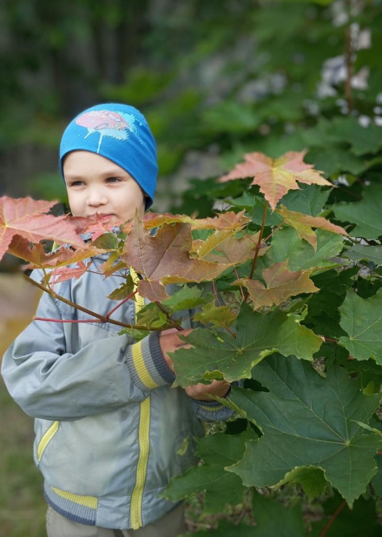 мальчик рядом с деревом