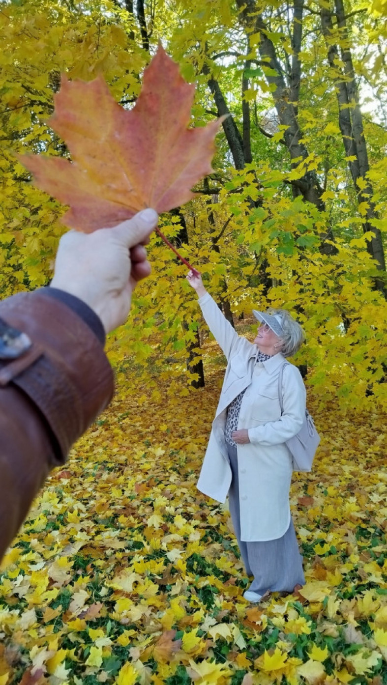 женщина и желтые листья