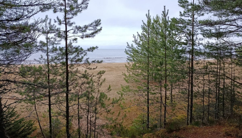 Берег озера в Шелтозере