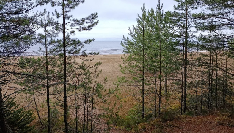 Онежское озеро