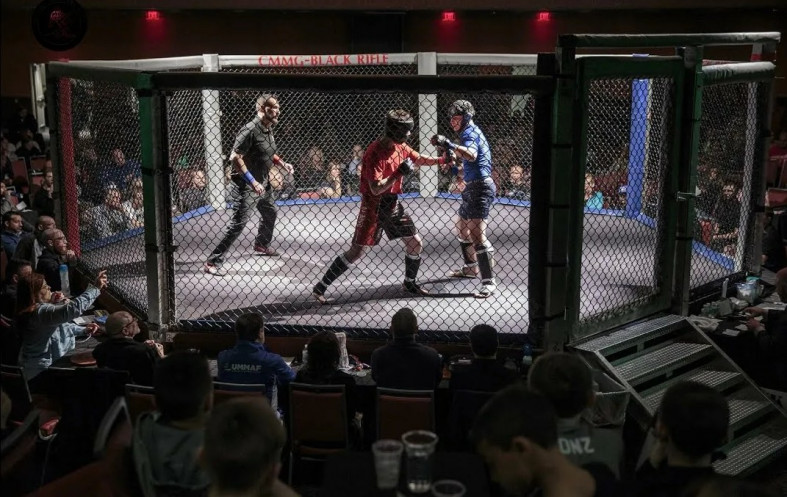 бой в клетке