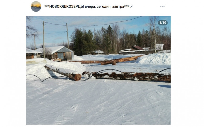 бревна на дороге