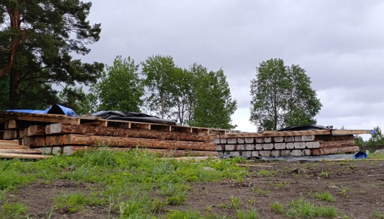 бревна на острове