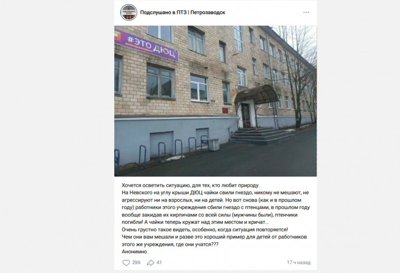 птицы