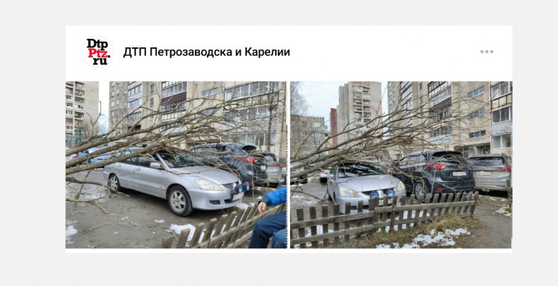 дерево упало