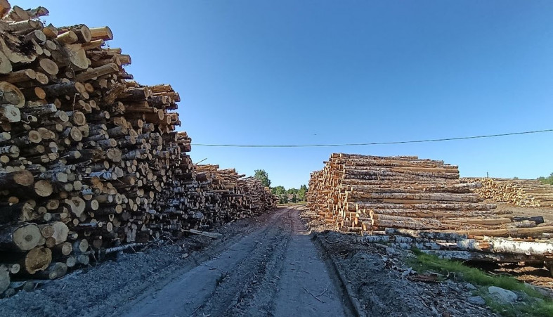 Склад древесины