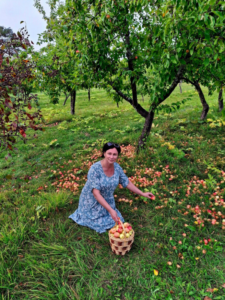 женщина собирает яблоки
