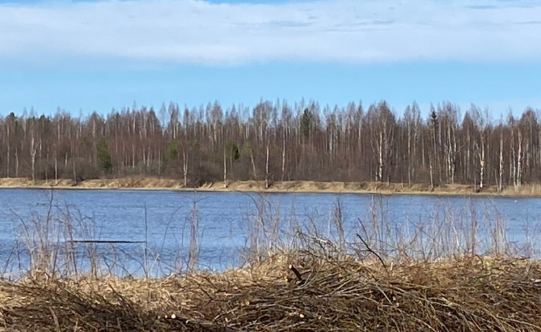 Пруды занимают огромные площади