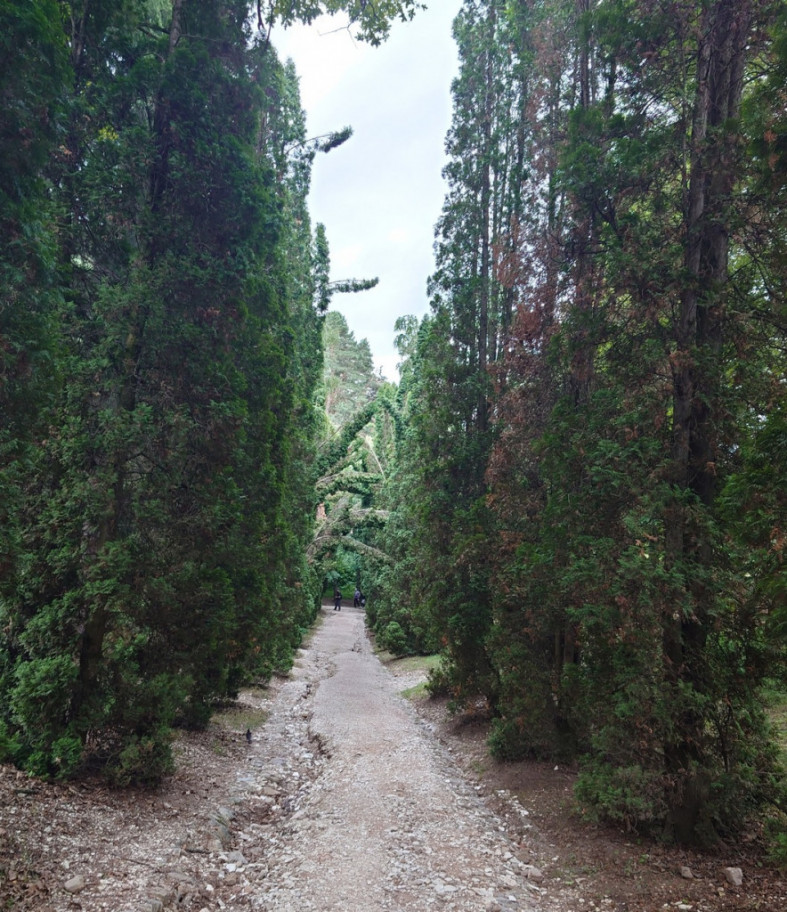 Кисловодский парк
