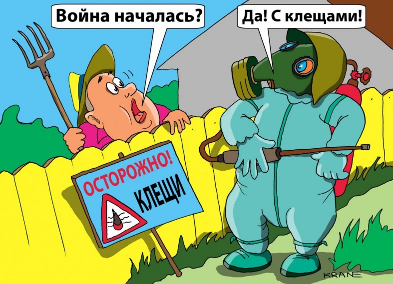Прививка от энцефалита в петрозаводске