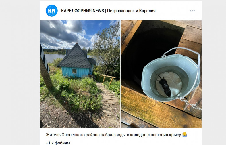 колодец и крыса