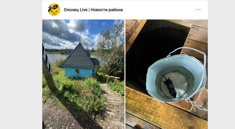 колодец и крыса