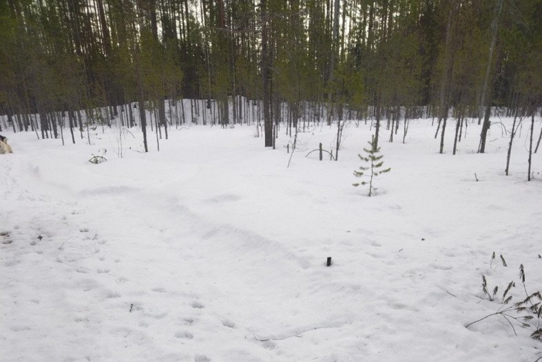Бронеколпаки бесследно исчезли