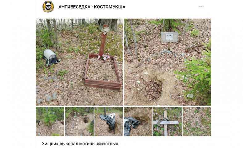 раскопанные могилы