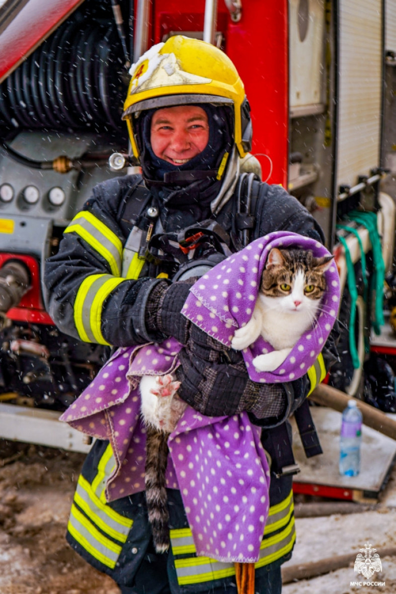 пожарный с котом