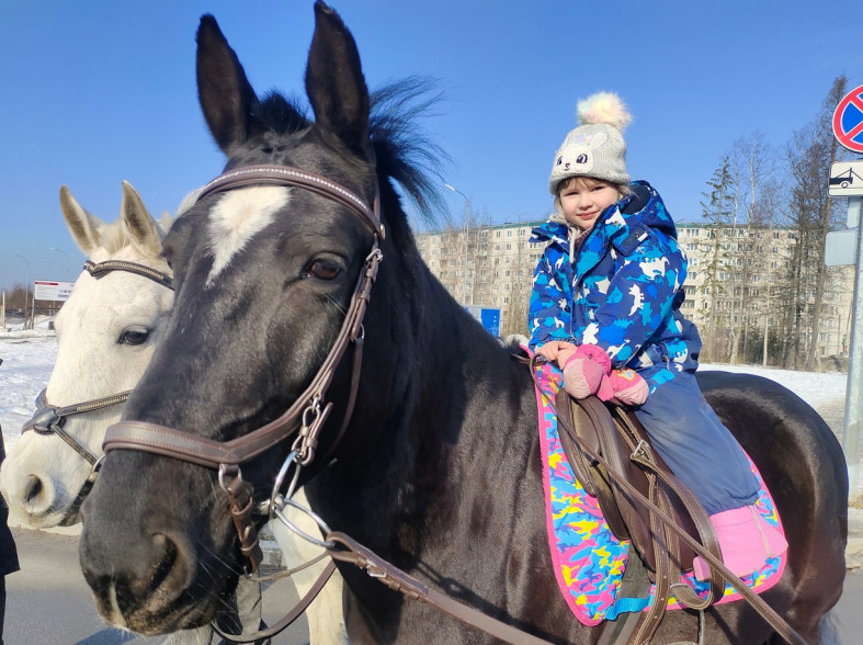 девочка на лошади