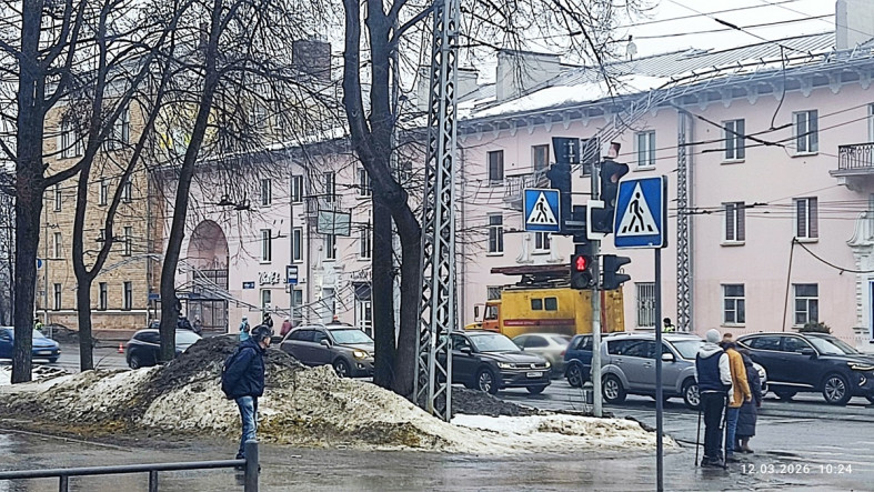 снегозадержатель упал