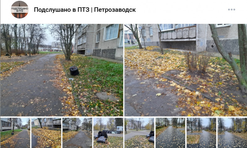 листья